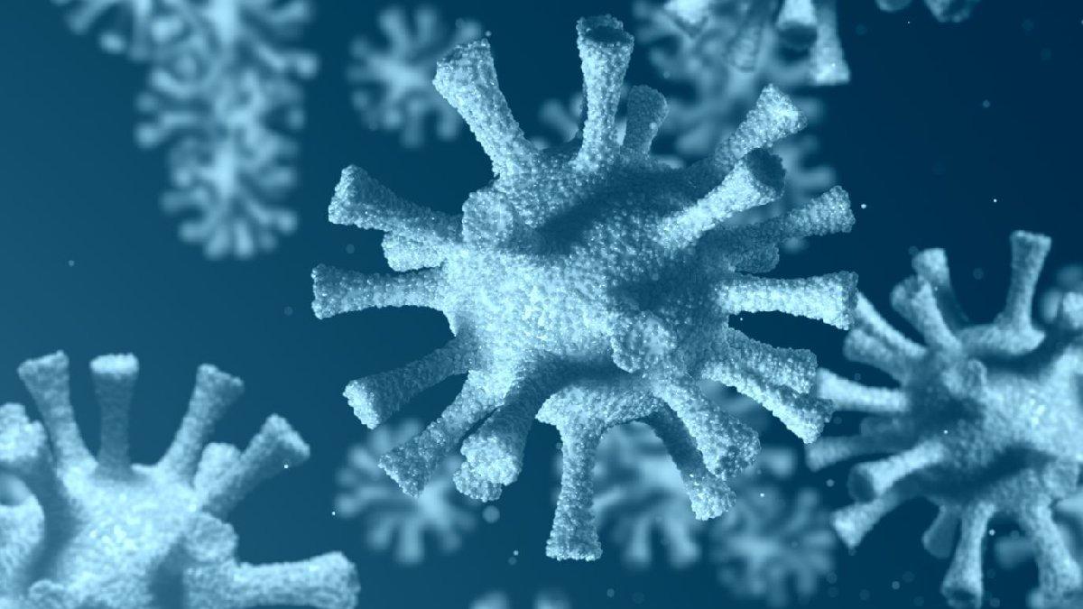 Corona Virüsü, Koronavirüs